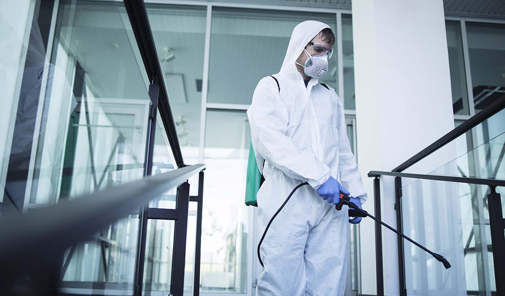 Профессионал выводит мышей