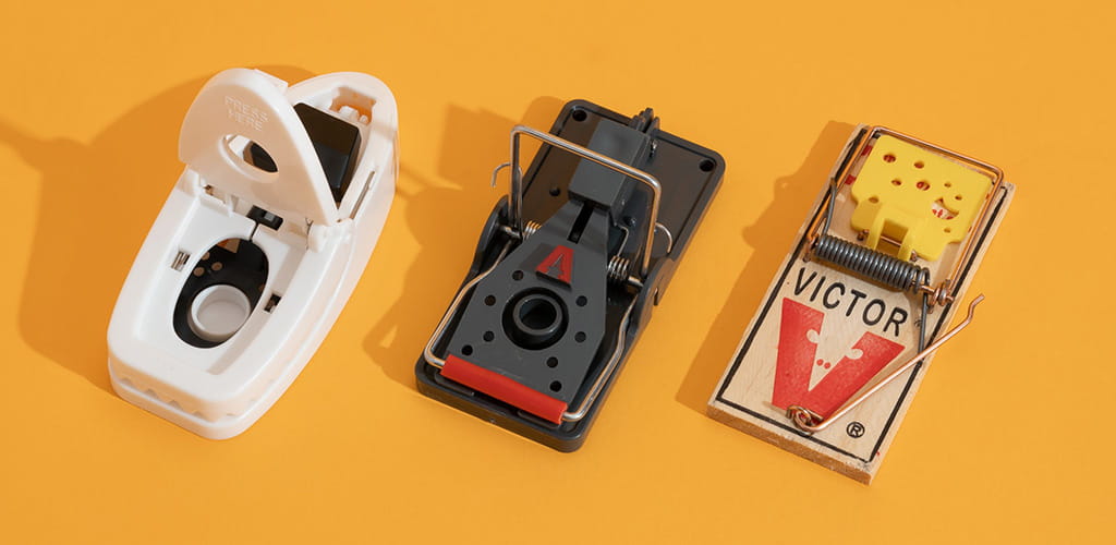 Мышеловки для избавления от мышей